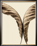 Turning Leaves II Print by Jeff Friesen