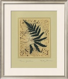 Fern Garden Art by Betsy Bauer