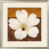 Azalea Blossom Posters by Tamara Wright