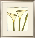 Arum, c.2003 Prints by Nicolas Le Beuan Bénic
