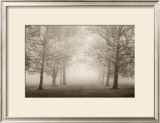 Layers of Trees II Print by Igor Svibilsky