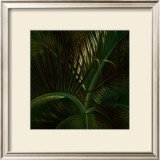 Exotic Passage Prints by Verdi 