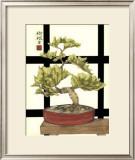 Zen Bonsai I Print by Jennifer Goldberger