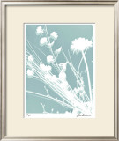 Flower Shadow II Limited Edition Framed Print by Lois Bender