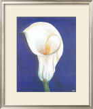 Iris I Print by D. Ferrer