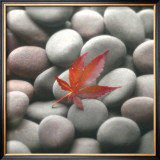 Leaf on Stone Prints by Glen & Gayle Wans