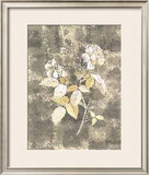 Silver Rose I Posters por Antonietta Vernice