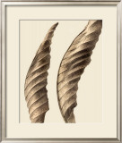 Turning Leaves I Prints by Jeff Friesen
