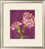 Purple and White Carnations Prints by Elise Ferguson