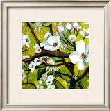 Blossom Lullaby III Posters by Mary Mclorn Valle