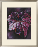 Heuchera After Rain Print by Sue Warner