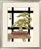 Zen Bonsai II Prints by Jennifer Goldberger