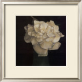 Gardenia in Green Vase Print by Carnochan 