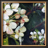 Blossom Rhapsody III Posters by Mary Mclorn Valle