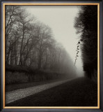 Suspended Vine Prints by Michael Kenna