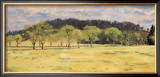 Buck Run Willows Print by Peter Sculthorpe