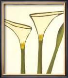 Arum, c.2003 Prints by Nicolas Le Beuan Bénic