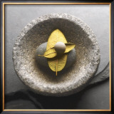 Stone on Leaves Prints by Glen & Gayle Wans