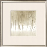 Soft Light II Print by Adam Brock