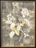 Silver Rose I Posters por Antonietta Vernice