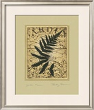 Garden Fern Posters by Betsy Bauer