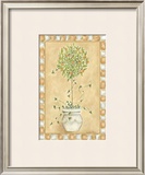 Tuscan Fruit I Prints by Chariklia Zarris
