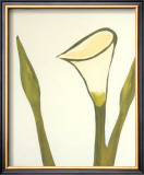 Arum, c.2003 Art by Nicolas Le Beuan Bénic