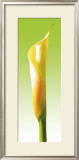 Green Callas Trilogy III Posters by Inka Vogel