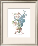 Jasmin Prints by Jean Louis Prevost