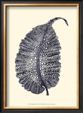 Indigo Kelp IV Posters