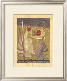 Rainforest Suite III Prints by Mimi Cora