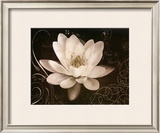 Garden Journal IV Prints by Amy Melious