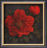 Red Carnation with Border I Posters by T. C. Chiu