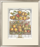 Twelve Months of Fruits, 1732, March Prints by Robert Furber