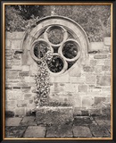 Secret Garden II Prints by Ned Witrogen