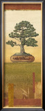 Bonsai I Posters by Charlene Audrey