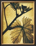 Golden Time II Posters by Gil-lubin 