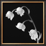 Spring Bells I Prints by Michael Faragher