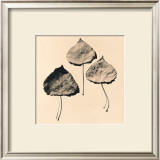 Trio Posters by Graeme Harris