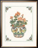 Geraniums Prints by Ann McEachron