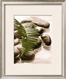 Spring Retreat I Posters by Christine Elizabeth