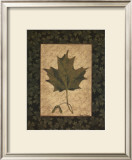 Sugar Maple Leaf Prints by Susan Clickner