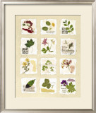Kent Garden Fragments Prints by Hewitt 