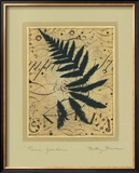 Fern Garden Art by Betsy Bauer