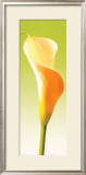 Green Callas Trilogy I Prints by Inka Vogel
