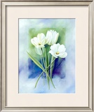 White Narcissus Print by Franz Heigl
