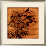 Bamboo Waves II Prints by Thomas Kalwa