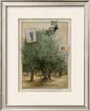 Sous les Oliviers Prints by Vincent Jeannerot