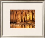 Golden Sunsets Prints by Jean-yves Guindon