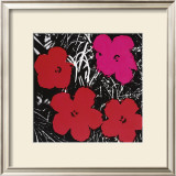 Flowers, c.1964 (Red and Pink) Prints by Andy Warhol